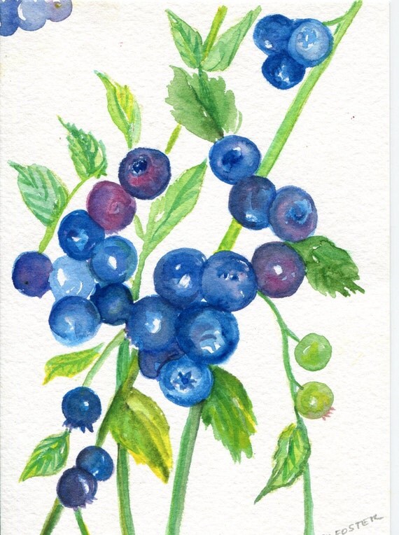 Blueberries Watercolor Painting Original Small By Sharonfosterart