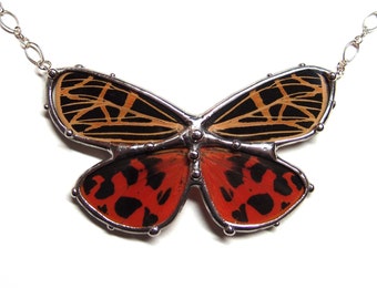 Real Tiger Moth Necklace - Statement Necklace - Wearable Nature Art - Grammia Virgo Moth