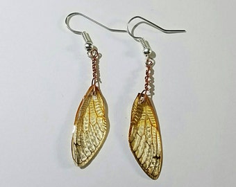 Real Cicada Wing Earrings