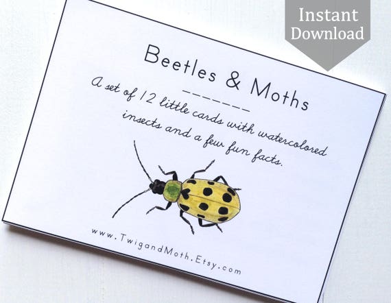 Insect Cards with Beetles and Moths Digital Printable PDF