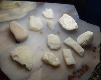 11 Raw Opal lot from AUstralia - common natural opal from LIghtning Ride Mine white no fire flash - raw rough stone and tumbled natural L11