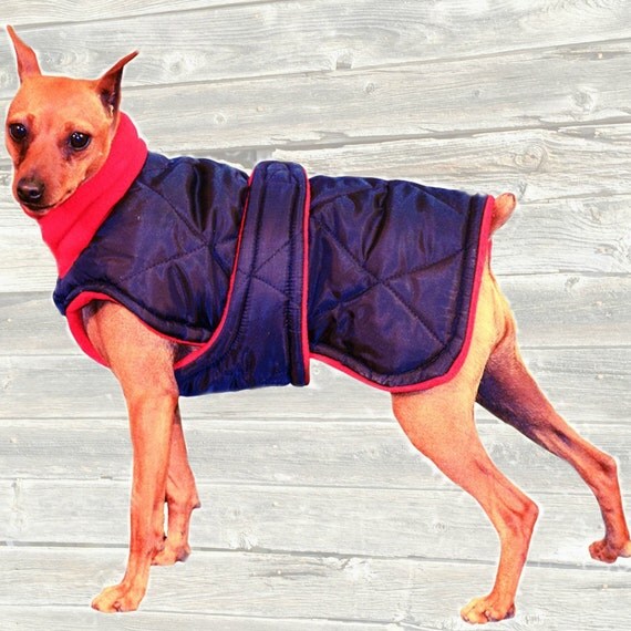Winter Dog Coat Custom made with quilted and insulated nylon
