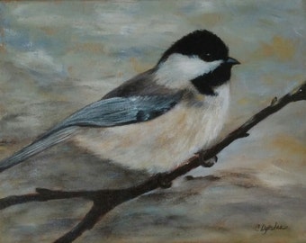 Black Capped Chickadee