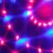 lillybeam