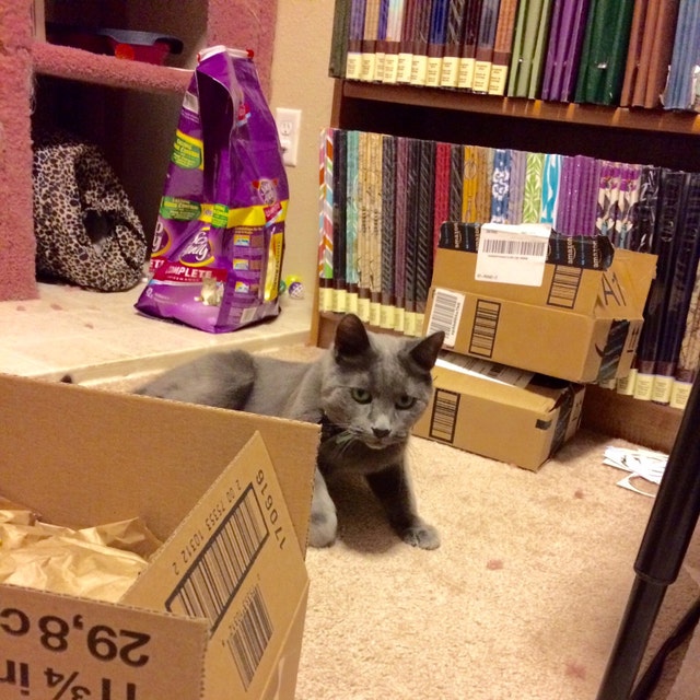 Fat Cat Apparel clothing and photo ornaments by fatcatapparel