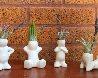 Air Plant Buddies - These little guys are perfect for your desk, nightstand or bathroom
