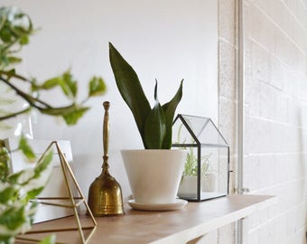 NEW! Minimal Ivory Planter