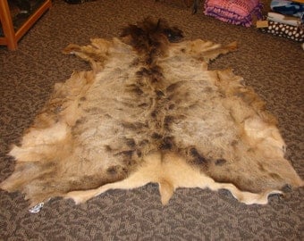 Large Elk Hide, tanned fur on, taxidermy big game animal, elk robe rug, cabin rustic decor, Wapiti robe, mountain man wear, hunting