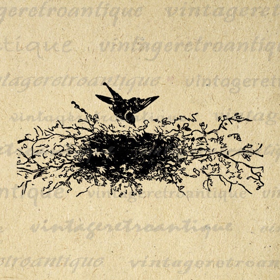 Items similar to Printable Image Bird with Birds Nest Digital Birdnest