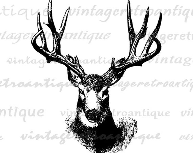 Antique Deer Printable Deer Digital Download Forest Animal Clipart Deer Antlers Graphic Image Vintage Clip Art Jpg Png Eps HQ 300dpi No.3575