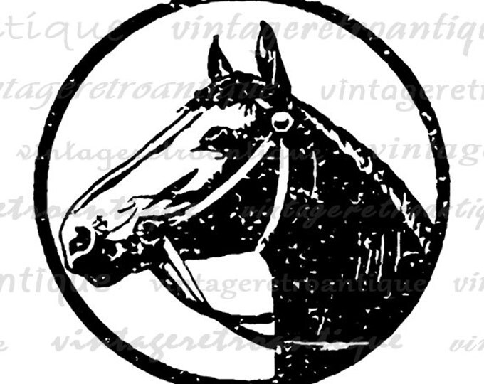 Digital Printable Horse Illustration Digital Horse Graphic Horse Head Image Farm Animal Western Art Download Jpg Png Eps HQ 300dpi No.1105