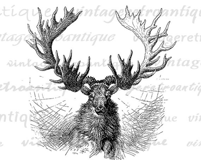 Digital Image Antique Moose Download Illustration Graphic Printable Vintage Clip Art Jpg Png Eps HQ 300dpi No.1674