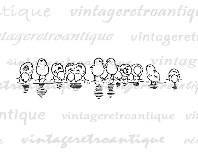 Printable Birds Drinking Digital Download Cute Image Antique Graphic Vintage Clip Art Jpg Png Eps HQ 300dpi No.145