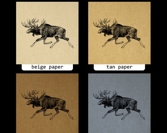 Printable Moose Graphic Download Digital Image Jpg Png Eps HQ 300dpi No.694