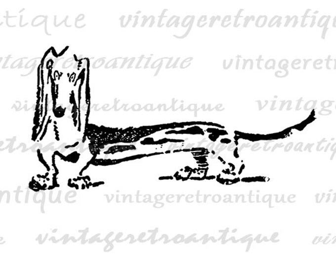 Digital Printable Wiener Dog Image Dachshund Illustration Graphic Download Antique Clip Art Jpg Png Eps HQ 300dpi No.1643