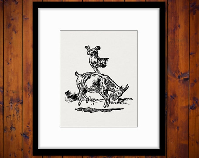 Dog Balancing on the Back of a Goat Printable Digital Graphic Circus Animals Image Download Vintage Clip Art Jpg Png HQ 300dpi No.2601