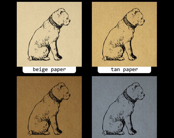 Cute Dog Digital Graphic Printable Antique Image Download Vintage Clip Art Jpg Png Eps HQ 300dpi No.284