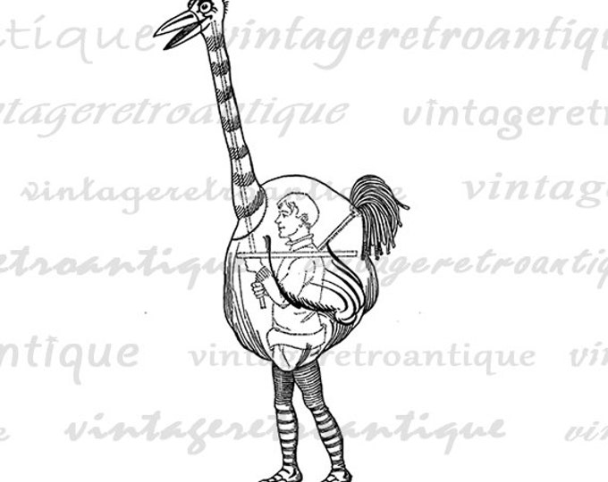 Ostrich Bird Costume Digital Printable Image Graphic Download Illustration Vintage Clip Art Jpg Png Eps HQ 300dpi No.2183