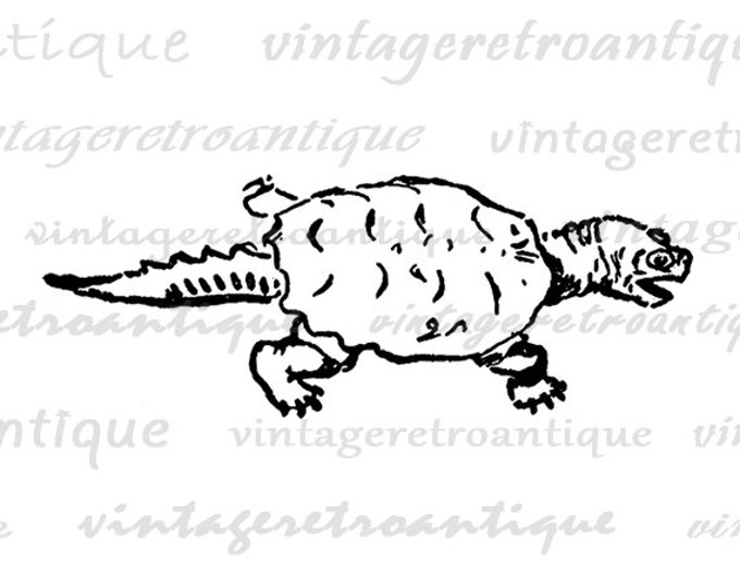 Snapping Turtle Printable Graphic Digital Illustration Image Download Vintage Clip Art Jpg Png Eps HQ 300dpi No.1587