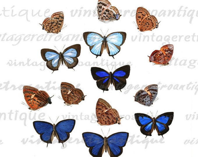 Digital Graphic Butterflies Collage Sheet Printable Color Artwork Image Download for Transfers Pillows HQ 300dpi No.816