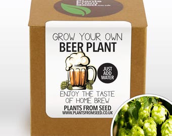Grow Your Own Beer Plant Kit