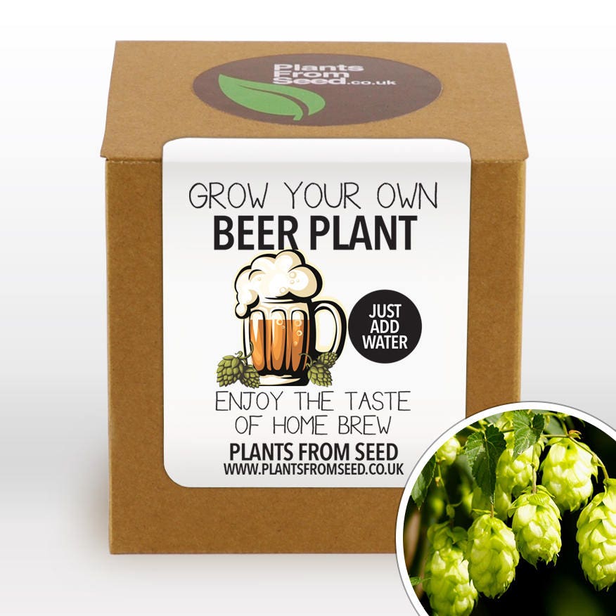 Grow Your Own Beer Plant Kit
