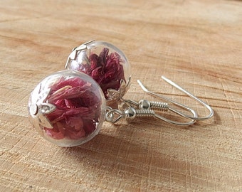 Real Dried Flower Earrings, Red Cornflower Petals, Glass Globe Jewelry