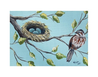 Bird nest painting watercolor painting watercolor nest nest
