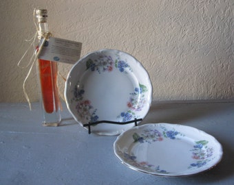 Walbrzych Salad Plates 2