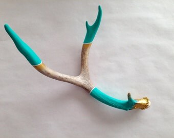 Painted Antler Shed - Medium - Teal, Gold, White