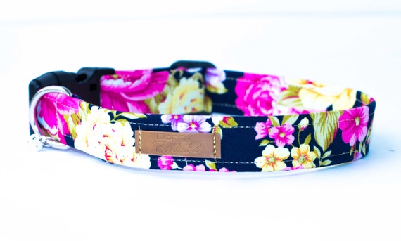 cute puppy collars and leashes
