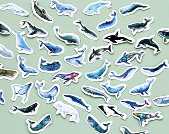 45 Pcs Whale Sticker, Whales Sticker Flakes, Under the Sea Filofax Stickers, Scrapbook, Ocean Life Schedule Sticker, Marine Animals, Mammals