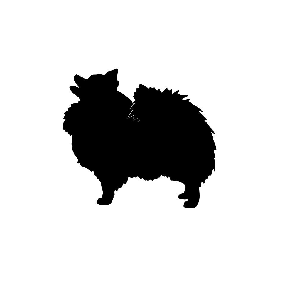 Pomeranian SVG and PNG Digital Download SVG dog graphic