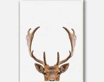 Deer Print, Deer Antlers, Nursery Wall Art,Printable Animals, Modern Poster, Woodlands Animal, Woodland Decor, Animal Poster, Minimalist Art