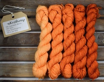 Mini Skein Gradient Set - Spiced - 5 x 20g - Superwash Merino/Nylon
