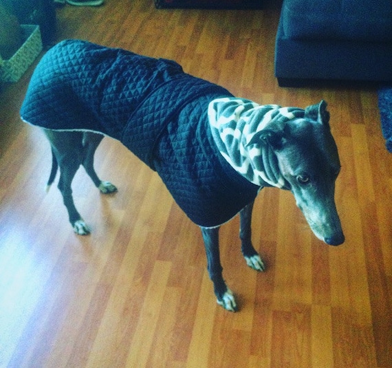 Super Warm Winter Greyhound Dog coat for serious winter day
