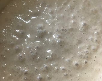Einkorn Sourdough Starter 18 years old from Vermont