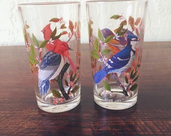Vintage Arcoroc France Bird Tumblers (Set of 2)