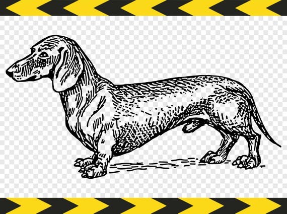 Dbc50 Dachshund Bathroom Clipart Pack 6199