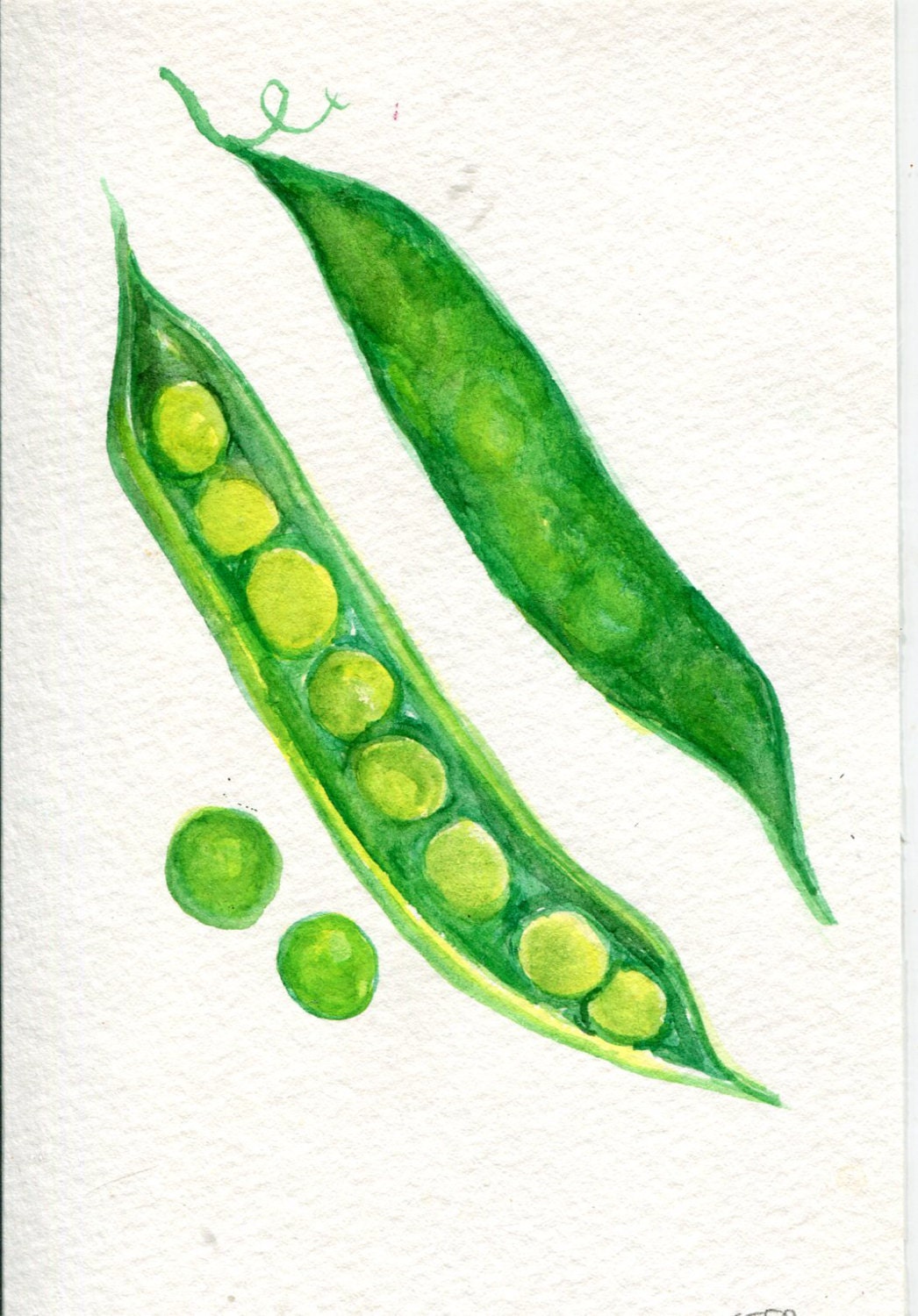 English Peas watercolor painting Original 4 x 6 art vegetable