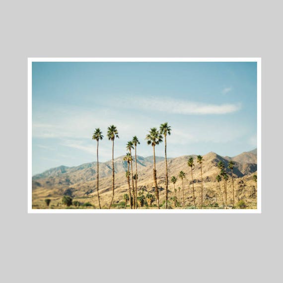 california desert print palm springs print palm trees