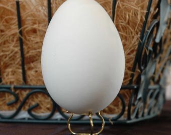 Large Blown Goose Egg Ready for Decorating, Ask for Availability, Quantity Discounts, Pysanka, Easter, Christmas Ornament