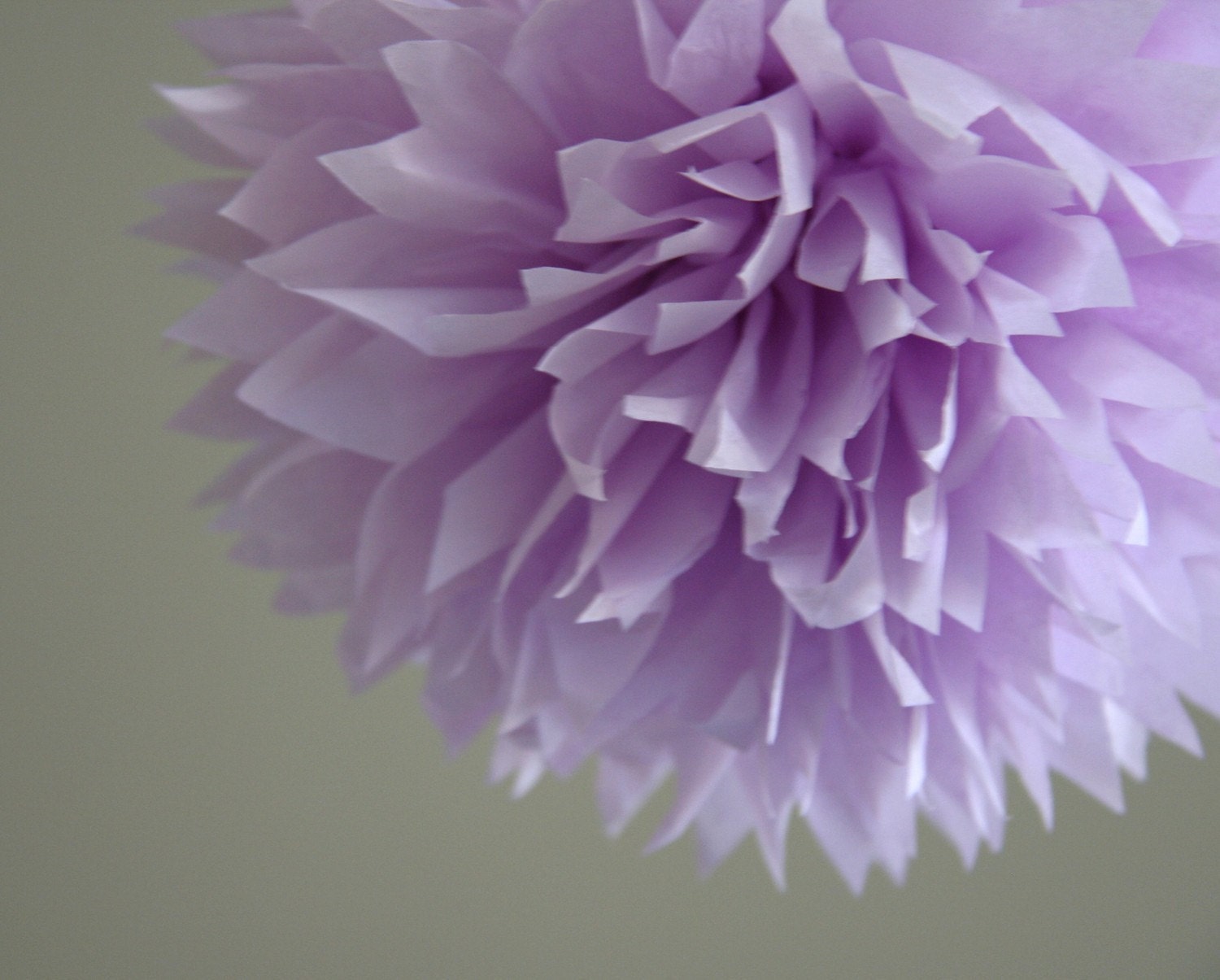 Orchid Paper Pom Poms Wedding Birthday Bridal Shower Party