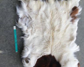 Red and White Spotted Goat Hide- Winter Hair Lot No. 25169TURQ
