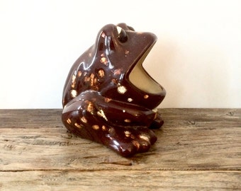 Frog Sponge holder Brown Speckled scubbie big mouth frog