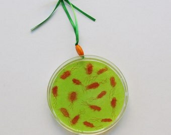 Petri Dish Ornament A7: Green with Orange E. Coli