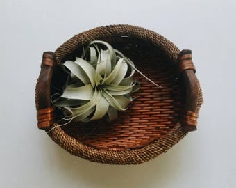 Wood Sisal and Basket - Decorative Wicker Basket with Handles - Bohemian Boho Decor