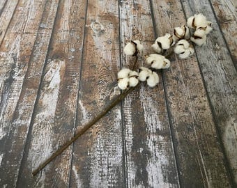 Cotton stems. Cotton Stem Cotton Stems Cotton Spray Rustic Farmhouse Cotton Decor 1 Rustic Wedding Natural Tall Cotton Stems 29"