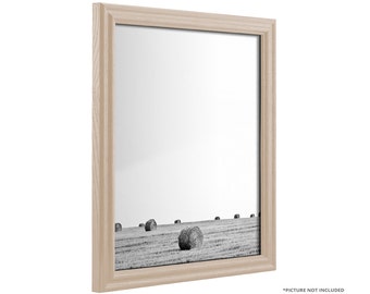 Craig Frames, 11x17 Inch Whitewash Picture Frame, Wiltshire 200, .75" Wide (200ASHWW1117)