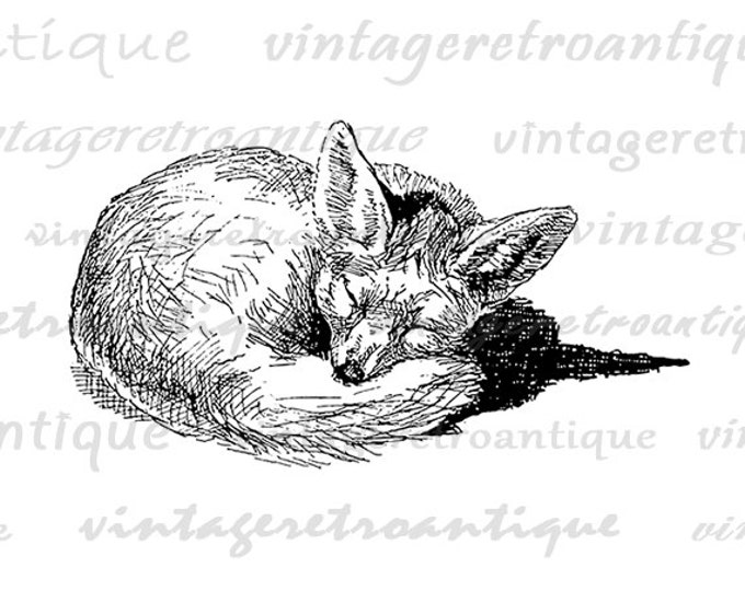 Printable Fox Art Fox Digital Image Cute Animal Sleeping Fox Graphic Download Animal Digital Vintage Clip Art Jpg Png Eps HQ 300dpi No.1089